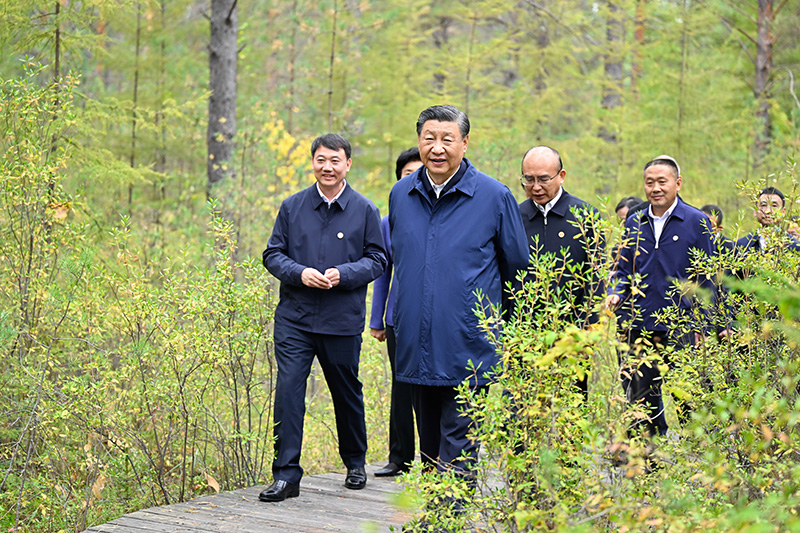 9月6日至8日，中共中央總書記、國家主席、中央軍委主席習(xí)近平在黑龍江考察。這是6日下午，習(xí)近平在大興安嶺地區(qū)漠河市漠河林場(chǎng)自然林區(qū)考察